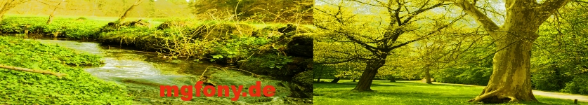 mgfony-banner.jpg